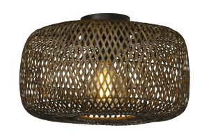 Kattovalaisin Aneta Savanna