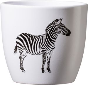 Miniruukku Safari seepra 10 cm