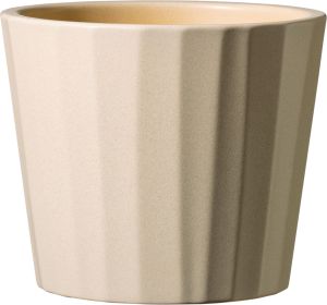 Suojaruukku Umea Barista beige 9 cm
