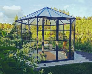Kasvihuone Palram-Canopia Oasis 8,6 m² harmaa