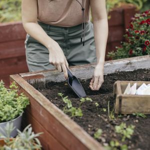 Istutuslapio Fiskars Solid