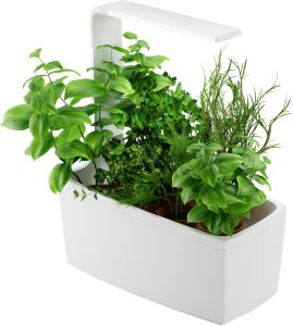 Sisäpuutarha Tregren T6 valkoinen