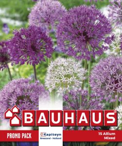 Syyskukkasipuli Kapiteyn Laukka Mix 10 kpl