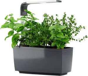 Sisäpuutarha Tregren T6 harmaa