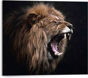 Sisustustaulu Reinders Roaring Lion 40 x 50 cm