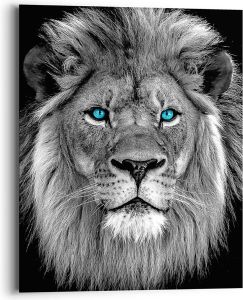 Sisustustaulu Reinders Blue Eyed Lion 40 x 50 cm