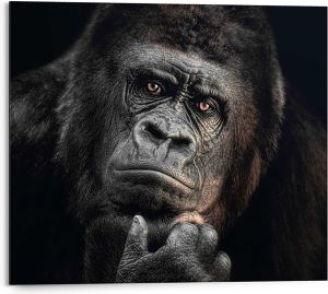 Sisustustaulu Reinders Gorilla Thinking 40 x 50 cm