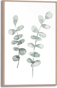 Sisustustaulu Reinders Eucalyptus 20 x 30 cm