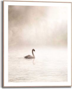 Sisustustaulu Reinders Misty Lake Swan 40 x 50 cm