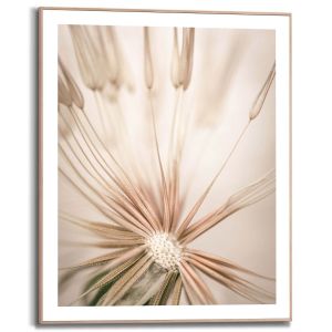 Sisustustaulu Reinders Dandelion Heart 40 x 50 cm