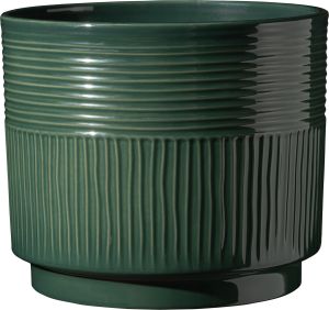 Suojaruukku Soendgen Nara Sabi tummanvihreä 22 cm
