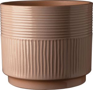Suojaruukku Soendgen Nara Terra beige 22 cm