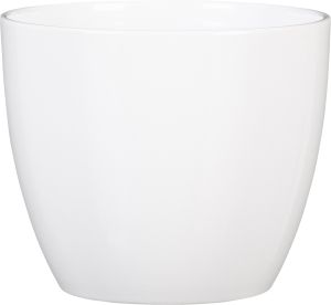 Suojaruukku Soendgen Basel valkoinen 37 cm