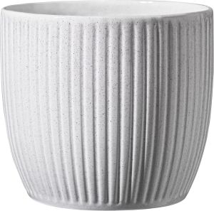 Suojaruukku Soendgen Belice valkoinen 16 cm