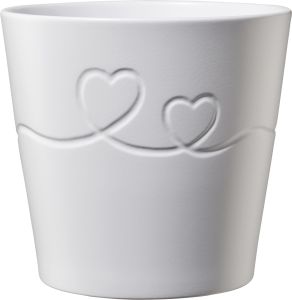 Suojaruukku Soendgen Endless Love valkoinen 13 cm