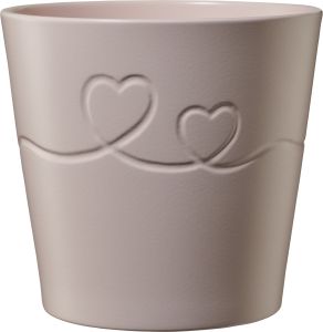 Suojaruukku Soendgen Endless Love pinkki 13 cm