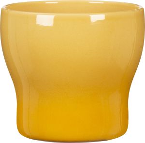 Suojaruukku Scheurich 824 keltainen 15 cm