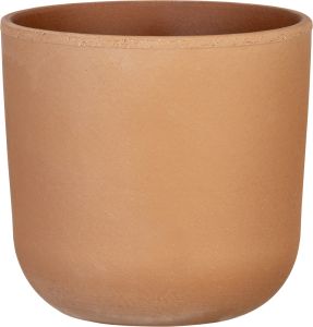 Suojaruukku Rosso terra 14 cm