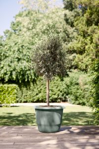 Ulkoruukku Elho Amiga timjaminvihreä 47 cm