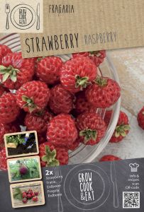 Mansikka Kapiteyn Raspberry 2 kpl