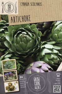 Latva-artisokka Kapiteyn Cynara Scolymu 2 kpl