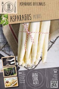 Parsa Kapiteyn Asparagus Albus 2 kpl