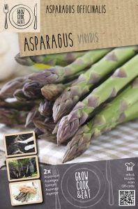 Parsa Kapiteyn Asparagus Viridis 2 kpl