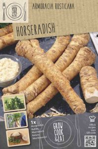 Piparjuuri Kapiteyn Armoracia Rusticana 1 kpl