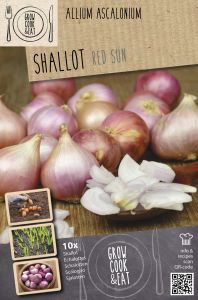 Salottisipuli Kapiteyn Red Sun 10 kpl