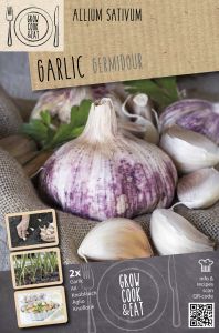 Valkosipuli Kapiteyn Germidour Pink 2 kpl