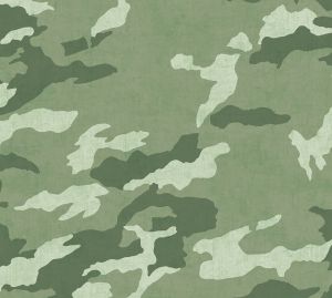 Kuitutapetti A.S. Creation Lilly &amp; Luis Camo 77173-1