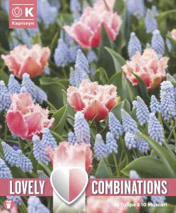 Syyskukkasipuli Kapiteyn Combinations Tulppaani Rose Red ja Helmililja 20 kpl