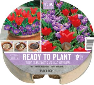 Syyskukkasipuli Kapiteyn Tulppaani ja Krookus 19 kpl