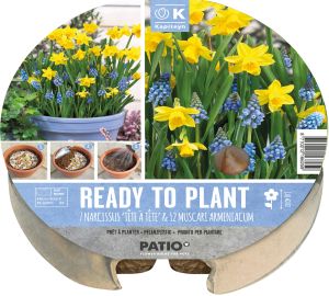 Syyskukkasipuli Kapiteyn Narsissi ja Helmililja 19 kpl