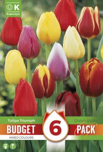 Syyskukkasipuli Kapiteyn Tulppaani Triumph Mix 6 kpl