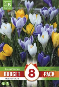 Syyskukkasipuli Kapiteyn Krookus Colour Mix 8 kpl