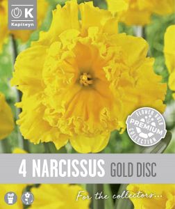 Syyskukkasipuli Kapiteyn Narsissi Collar Gold 4 kpl