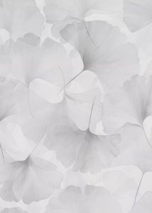 Kuitutapetti Erismann Ginko Dream 10470-31