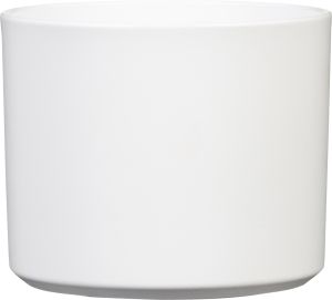 Suojaruukku Monaco valkoinen 19 cm