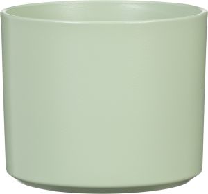 Suojaruukku Monaco lehmuksen vihreä 14 cm