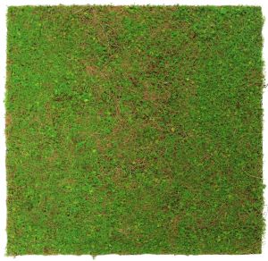 Seinäpaneeli Jangal Light Green Coconut 52 x 52 cm