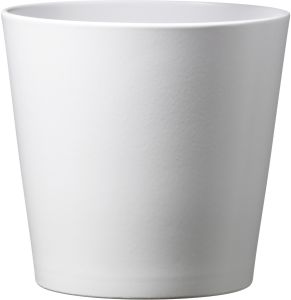 Suojaruukku Dallas valkoinen 13 cm