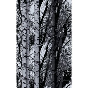 Kontaktimuovi D-C-Fix Trendyline Wood 45 x 150 cm