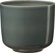 Suojaruukku Bari vihreänharmaa 16 cm