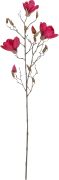 Koristeoksa Magnolia 88 cm pinkki