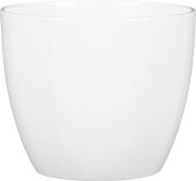 Suojaruukku Soendgen Basel valkoinen 41 cm