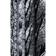 Kontaktimuovi D-C-Fix Trendyline Wood 45 x 150 cm