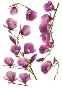 Julistetarra Plage Magnolia