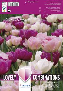 Kevätkukkasipuli Tulppaani Double Pink Purple White 15 kpl